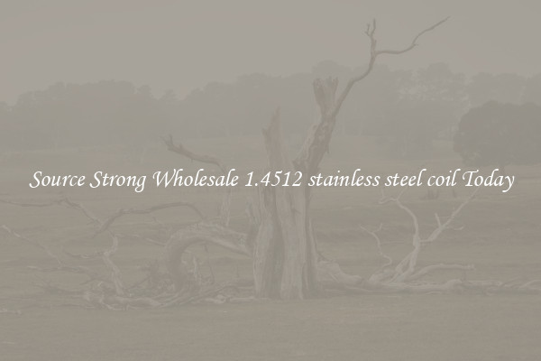 Source Strong Wholesale 1.4512 stainless steel coil Today