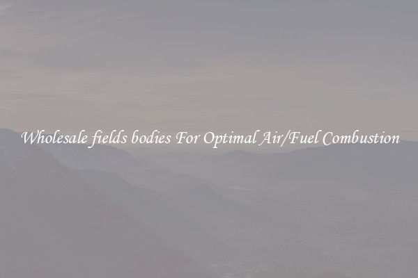 Wholesale fields bodies For Optimal Air/Fuel Combustion