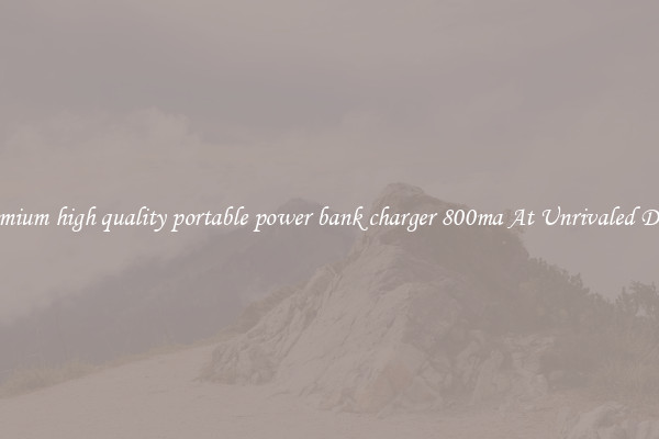 Premium high quality portable power bank charger 800ma At Unrivaled Deals