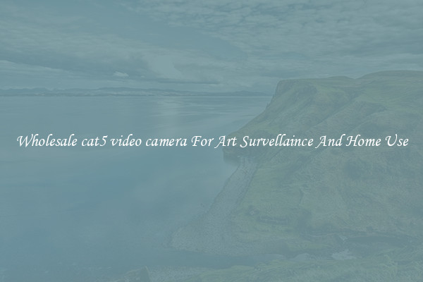 Wholesale cat5 video camera For Art Survellaince And Home Use