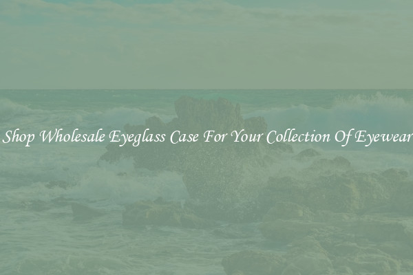 Shop Wholesale Eyeglass Case For Your Collection Of Eyewear