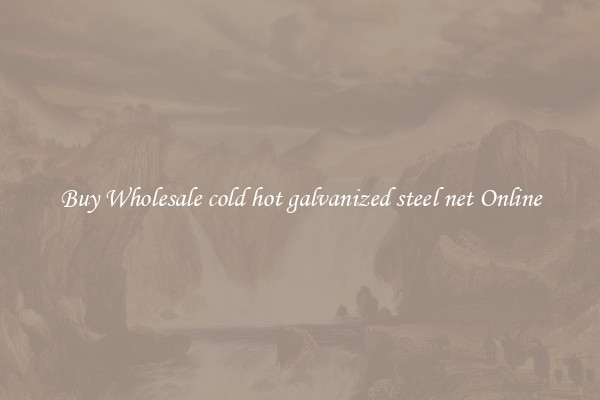 Buy Wholesale cold hot galvanized steel net Online