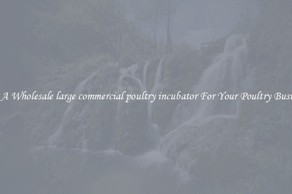 Get A Wholesale large commercial poultry incubator For Your Poultry Business