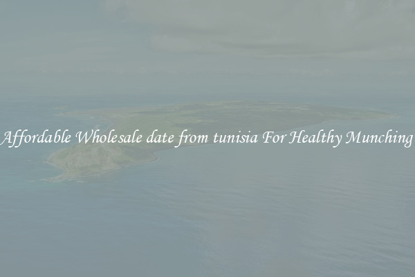 Affordable Wholesale date from tunisia For Healthy Munching 