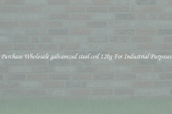 Purchase Wholesale galvanized steel coil 120g For Industrial Purposes