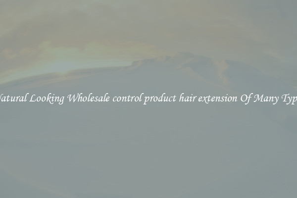 Natural Looking Wholesale control product hair extension Of Many Types