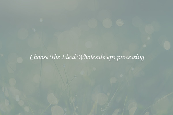 Choose The Ideal Wholesale eps processing