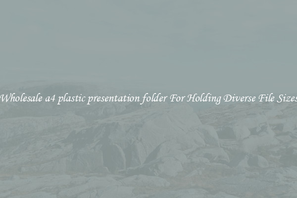 Wholesale a4 plastic presentation folder For Holding Diverse File Sizes