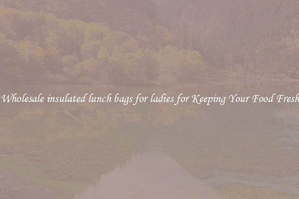 Wholesale insulated lunch bags for ladies for Keeping Your Food Fresh