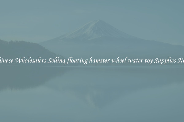 Chinese Wholesalers Selling floating hamster wheel water toy Supplies Now