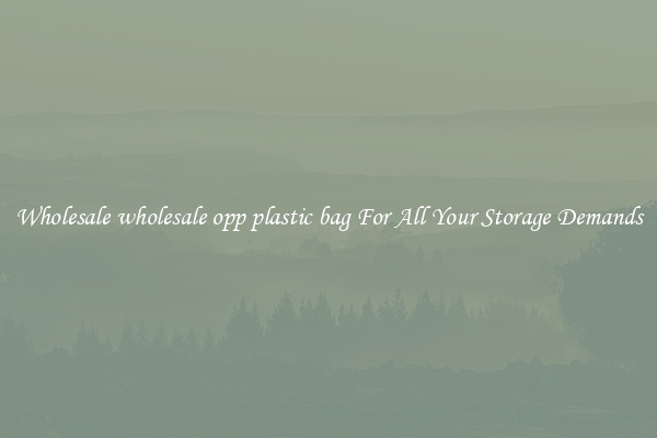 Wholesale wholesale opp plastic bag For All Your Storage Demands