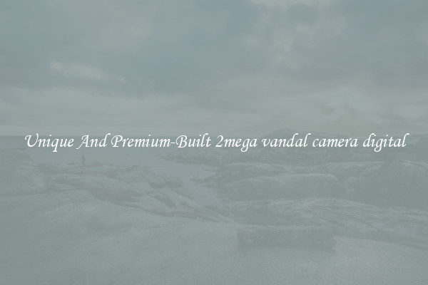 Unique And Premium-Built 2mega vandal camera digital